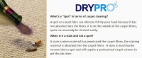 Dry Pro Carpet Cleaning 1055678 Image 4